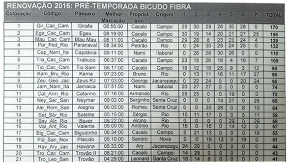 girafa-renovacao-2016.jpg (166 KB)